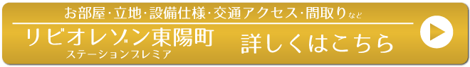 $B%j%S%*%l%>%sElM[D.%9%F!<%7%g%s%W%l%_%